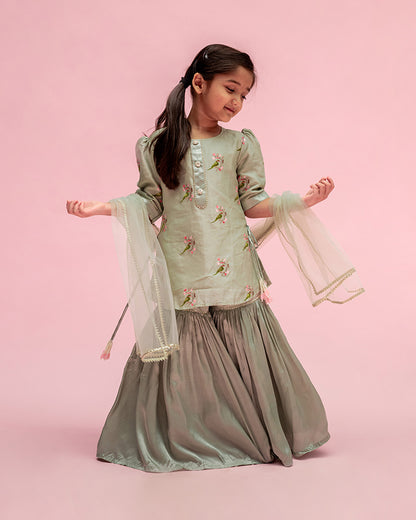 Mimosa Pastel Green Sharara Set-Embroidered-Chanderi-For Infants
