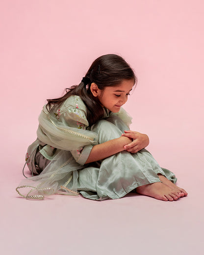Mimosa Pastel Green Sharara Set-Embroidered-Chanderi-For Infants