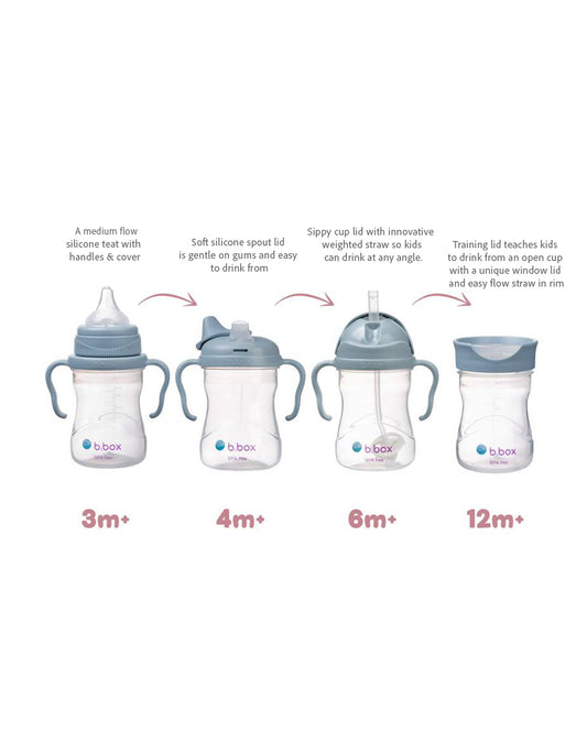 b.box Transition Value Pack-One Cup with 4 Lids for Every Stage of Growth (3M to 12M+) : Includes Medium Flow Teat, Soft Spout, Weighted Straw & Training Cup Lids-Ocean Blue-240 ml