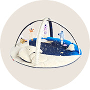 Playmats & Play Gyms