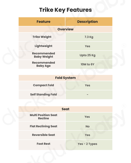 Qplay Nova Niello 6 in 1 Trike-Easy Compact Fold-Height Adjustable Parent Handle Bar-360 Degrees Rotating Seat-Adjustable Backrest-5 Point Harness-Includes Cup Holder-For 10 to 6Y (Upto 25 Kg)-Grey