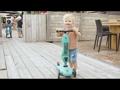 Scoot and Ride Highkick 1 Scooter-Easily Converts from Seat Scooter into Kickboard-Weight Shift Steering-Height Adjustable Seat & Handle-From 1 to 5Y (Upto 50 kg)-Ash