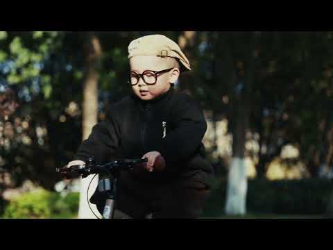 Qplay Miniby 3 in 1 Bike (14 Inch)-Balance Bike, Bicycle with Training Wheel Mode & Bicycle Mode-Adjustable Handlebar & Seat Height-Steering Limiter For Additional Safety-For 2.5 to 8Y-Grey