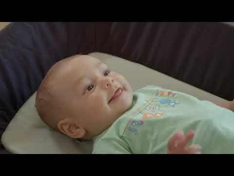 Chicco Lullaby Zip All-in-One Portable Playard-With Detachable Changer & Removable Mattress-With Electronic Toy Bar & Soothing Melodies-Includes Travel Bag-Driftwood